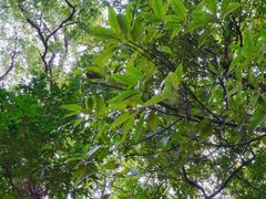 -宁波市保国寺古建筑博物馆