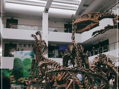 -中国地质大学逸夫博物馆