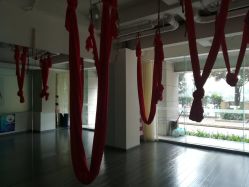 -榕树上·瑜伽普拉提