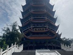 -铁山坪森林公园