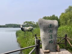-溱湖国家湿地公园