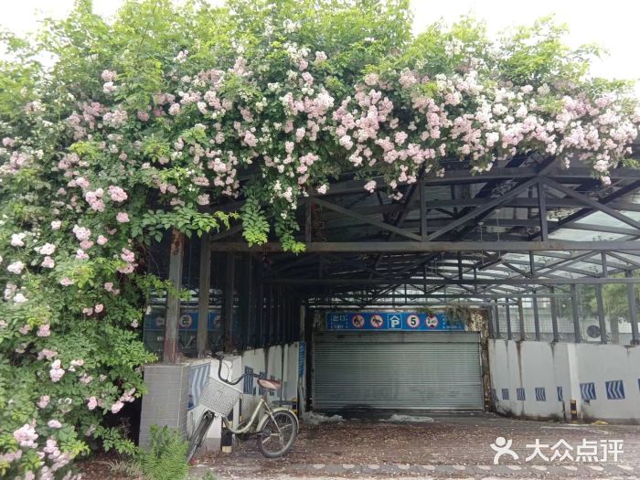 成都中医药大学(温江校区)图片