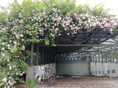 -成都中医药大学(温江校区)
