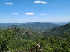 -大岭沟猕猴桃谷风景区
