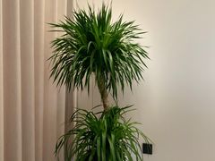 -虎门国际购物中心