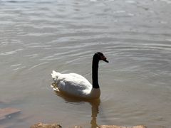 -鄱阳湖国家湿地公园
