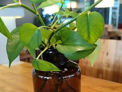 -魔方城市书房(中街益田店)