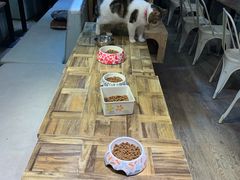-小时光咖啡馆(开森度假森林店)