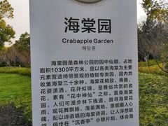 -昆山城市生态森林公园