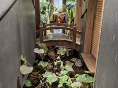 -邈墨茶馆(凤起路店)