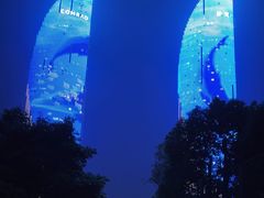 -演武大桥观景平台