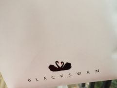 -BLACKSWAN黑天鹅(环球店)