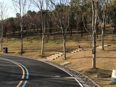 -牛岗山公园
