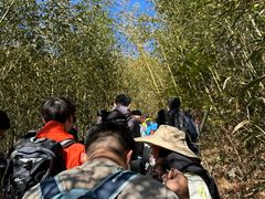 -安吉龙王山风景区