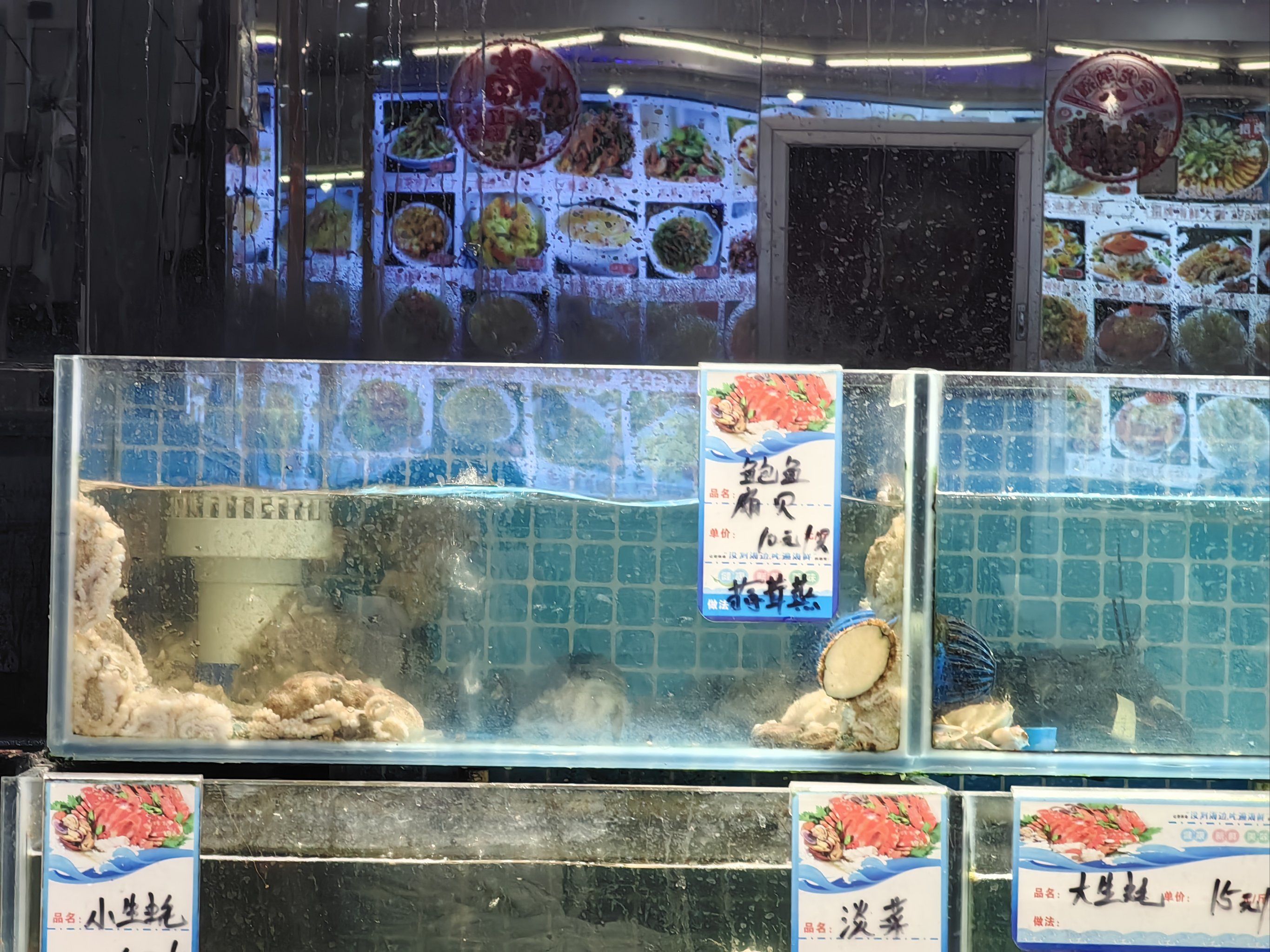 朱家尖海鲜排档一条街