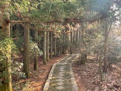 -庐山风景区花径公园