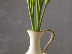 -山沟沟羊小馆&烤全羊羊肉汤(麦岛店)