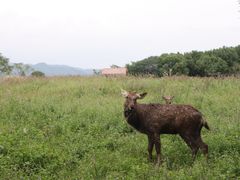 -良渚古城遗址公园