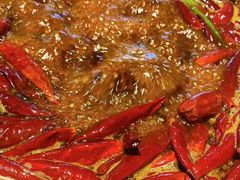 -水巷子·巴掌腰片重庆火锅(巧家店)