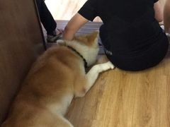 -YCHL Studios健身工作室(市二宫店)