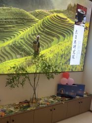 -头道汤头疗养生馆