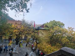 -千佛山风景名胜区