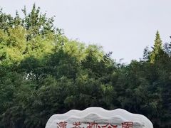 -莲花池公园