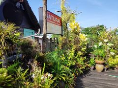 -自然餐厅(Phuket)