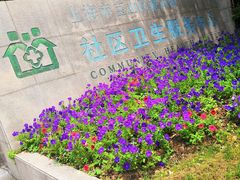 -淞南镇社区卫生服务中心