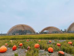 -中国天府农业博览园