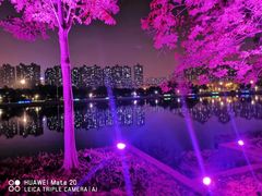 -滨湖塘西河公园