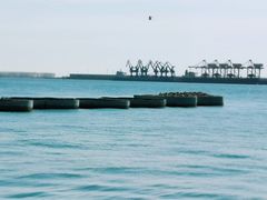 -东疆建设开发纪念公园