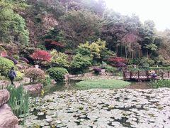 -铁山坪森林公园