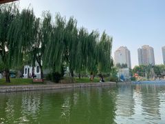 -团结湖公园