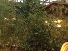 iphone_upload_pic-绿色时代大酒店