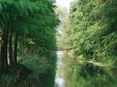 -虎丘湿地公园