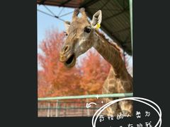 -秦皇岛野生动物园