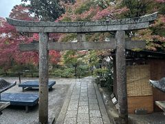 -常寂光寺
