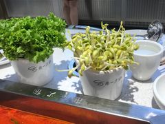 -串一火锅(赛格国际购物中心店)