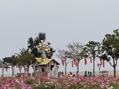-野狸岛