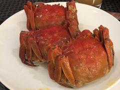 -乐咖啡西餐厅(太湖皇冠假日酒店)
