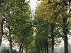 -重庆中央公园(渝北区)