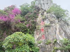 -星湖旅游景区七星岩