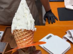 -野人先生现做冰淇淋(北京环宇荟店)