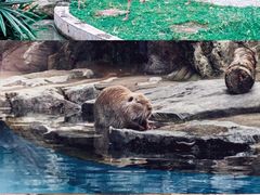 -南宁市动物园