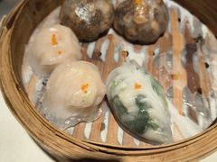 -粤点越有·茶点·粤菜(樵岭国际店)