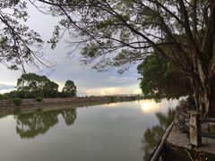 -大湾区中央湿地公园