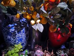 -范设计花园餐酒咖·中西餐·咖啡厅·酒馆