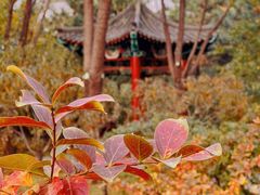 -北坞公园
