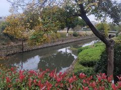 -羊山湖公园